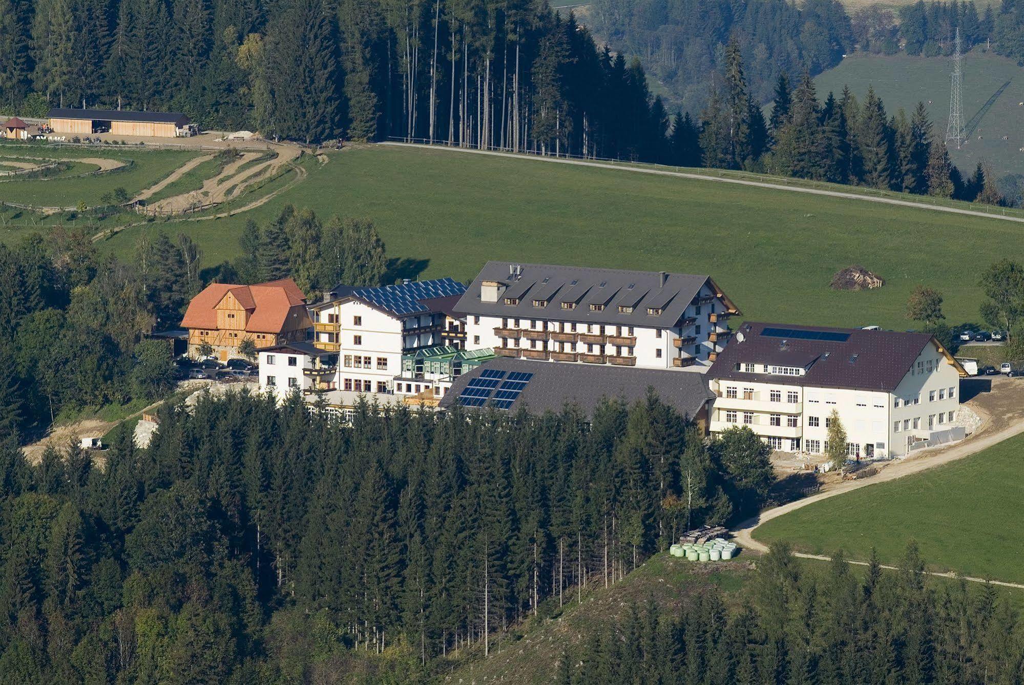 Hotel Moselebauer Bad Sankt Leonhard im Lavanttal Exterior foto